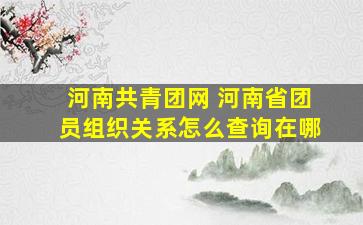 河南共青团网 河南省团员组织关系怎么查询在哪